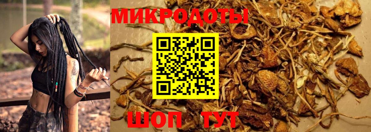 Псилоцибиновые грибы мухоморы Медногорск