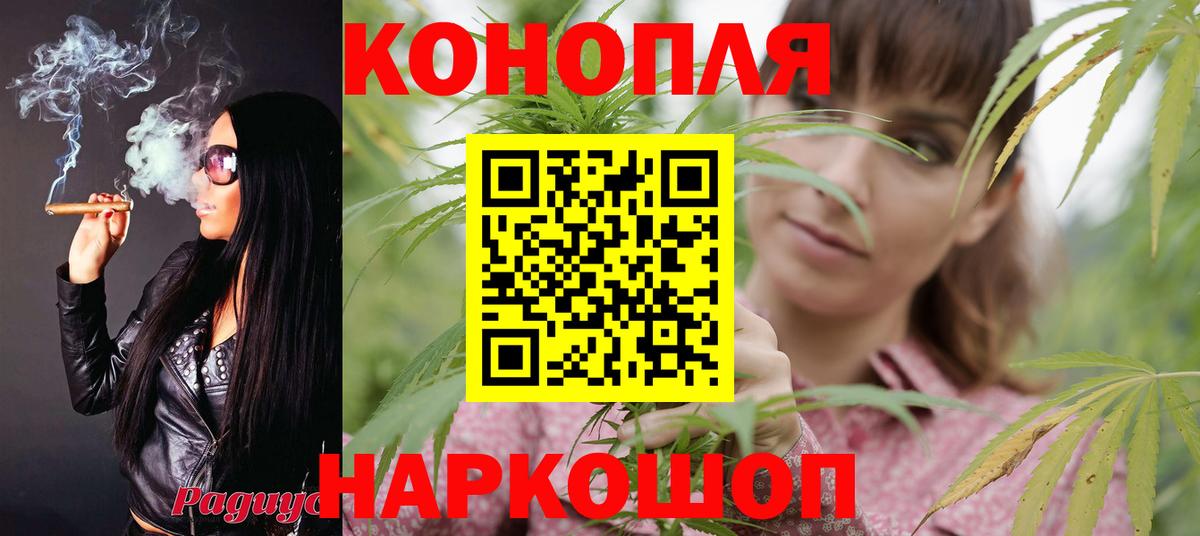Бошки марихуана ГИДРОПОН Медногорск